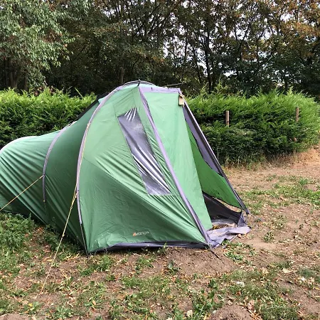 Tents @ Tomorrowland Rumst