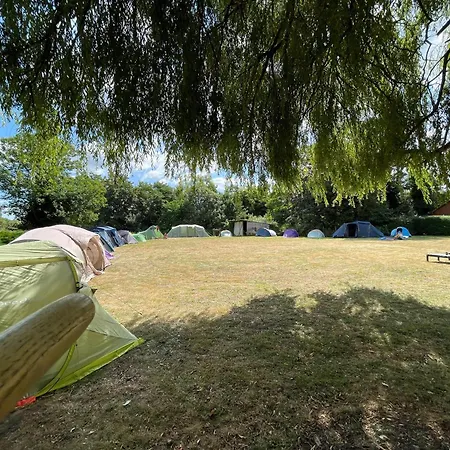 Tents @ Tomorrowland *